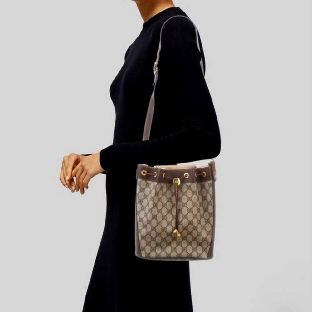 Gucci Web Bucket Crossbody Bag 4102034